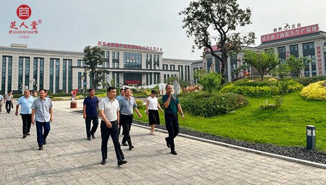 芝人堂企業(yè)新聞,芝人堂資訊,芝人堂新聞,公司新聞